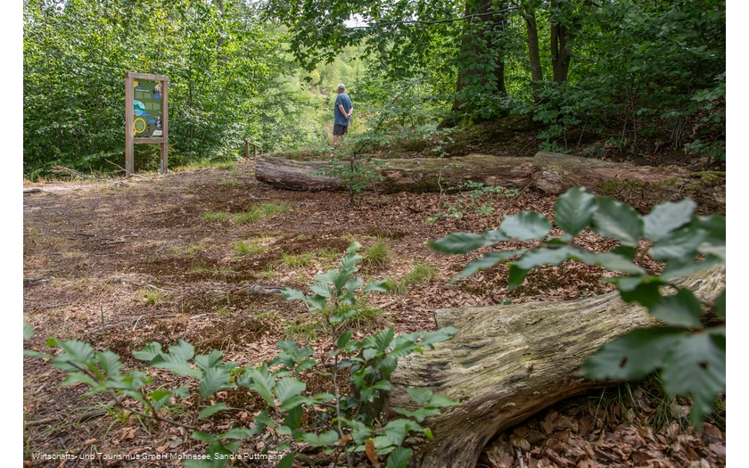 Tafel Wald Erlebnispfad Möhnesee-Südufer