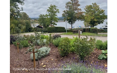 Kräutergarten klein.png