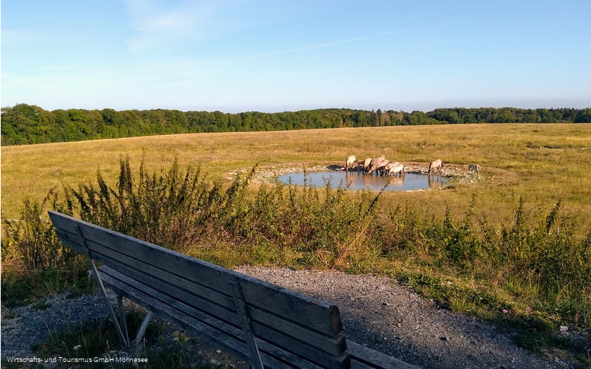 Naturschutzgebiet Kleiberg