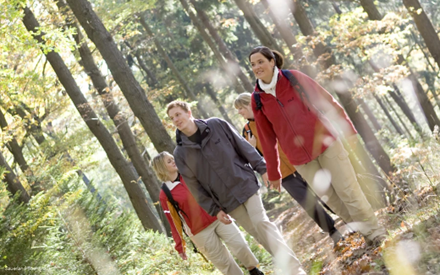 Vier Personen wandern durch einen herbstlichen Laubwald.
