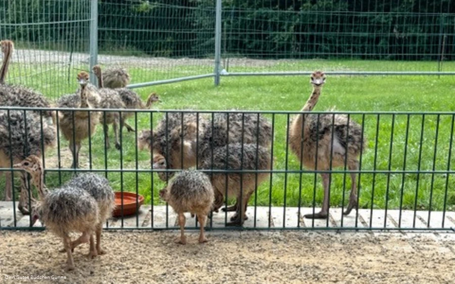 Gutes Büdchen 7.jpg