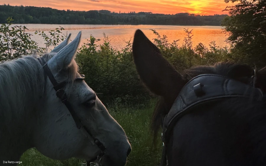 Reitzwerge Sonnenuntergang.jpg