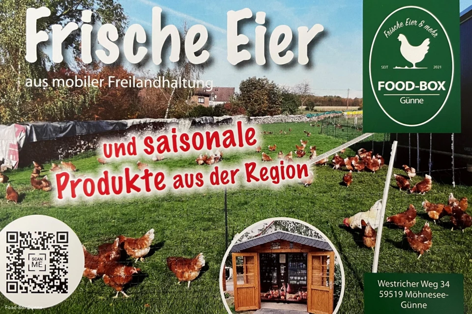 Food Box Günne.jpg