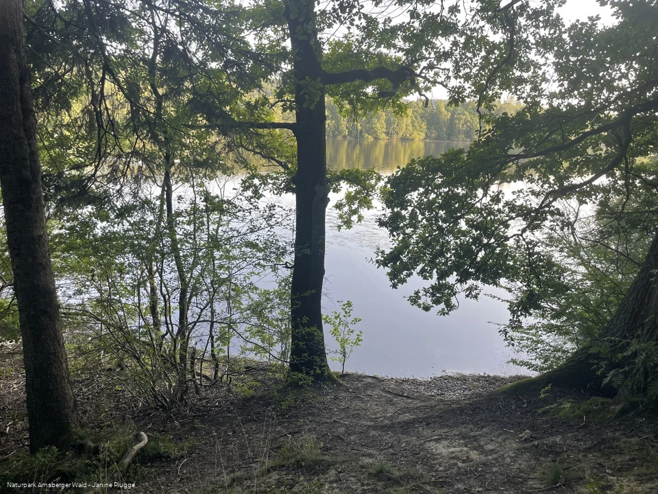 Hevesee am Möhnesee