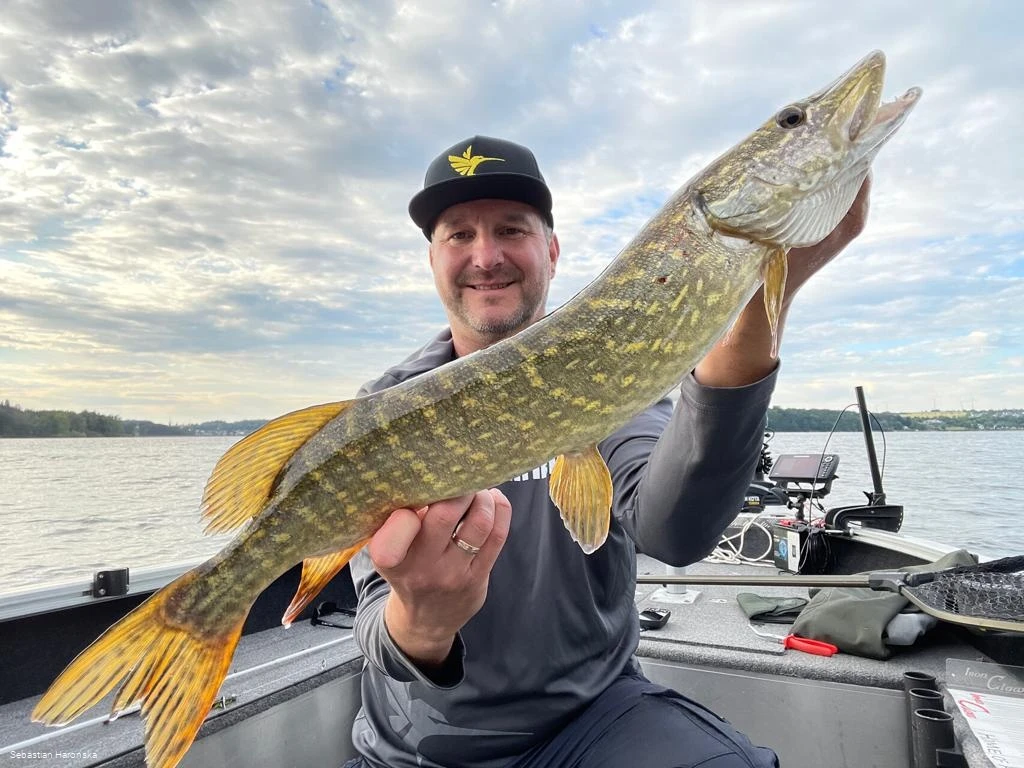 Angelbootvermietung 1